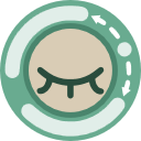 decentraleyes decentraleyes